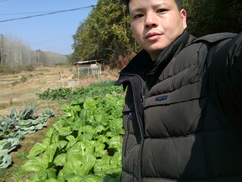 倔强的驴的第一张照片--中老年相亲网