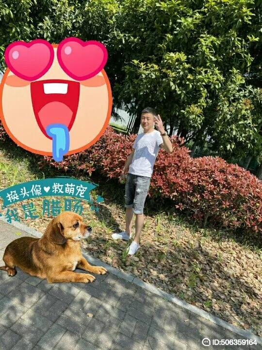 我若不坚强谁替我勇敢的第五张照片--中老年相亲网