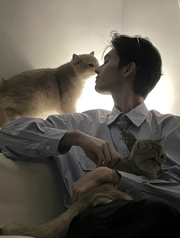 怪猫的第一张照片--中老年相亲网